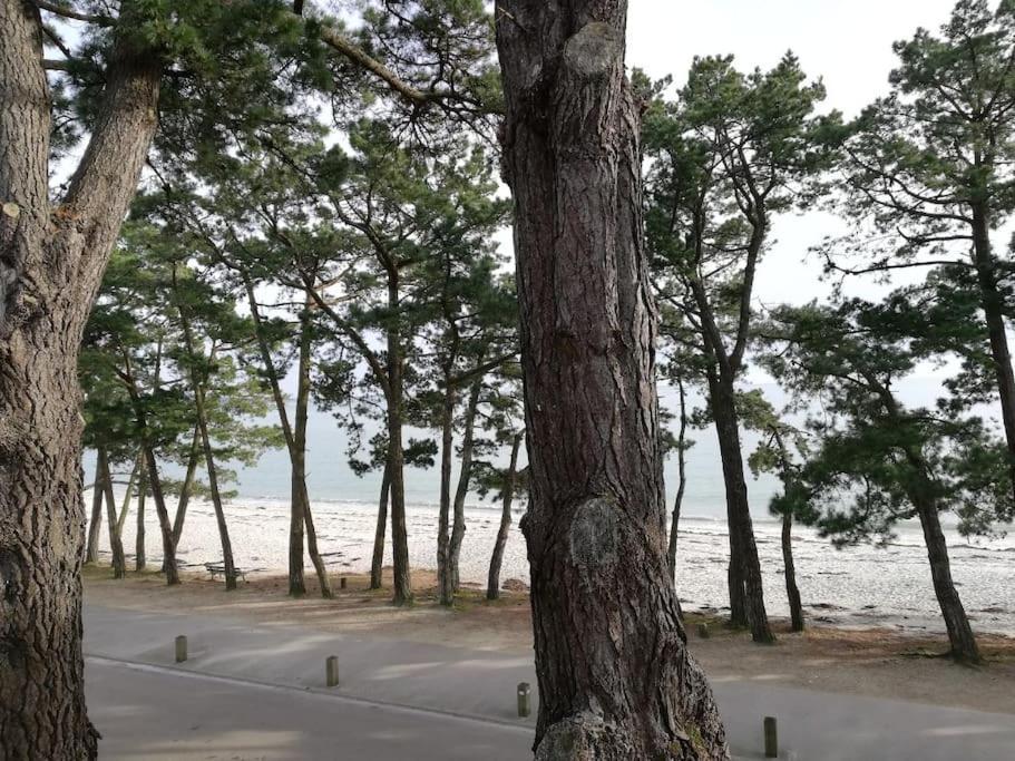 Face A La Mer Fouesnant Εξωτερικό φωτογραφία